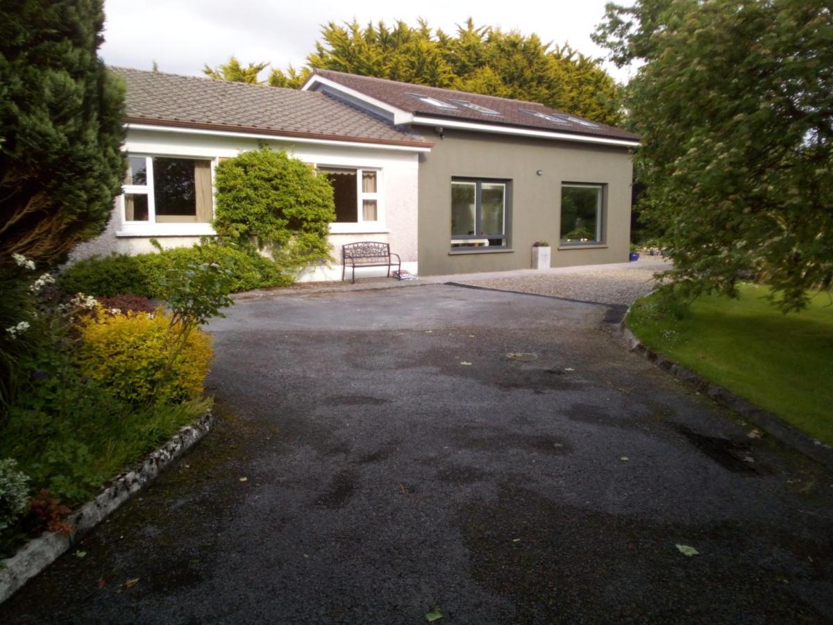 Spacious Contemporary Chalet Type Apartment. Galway Buitenkant foto