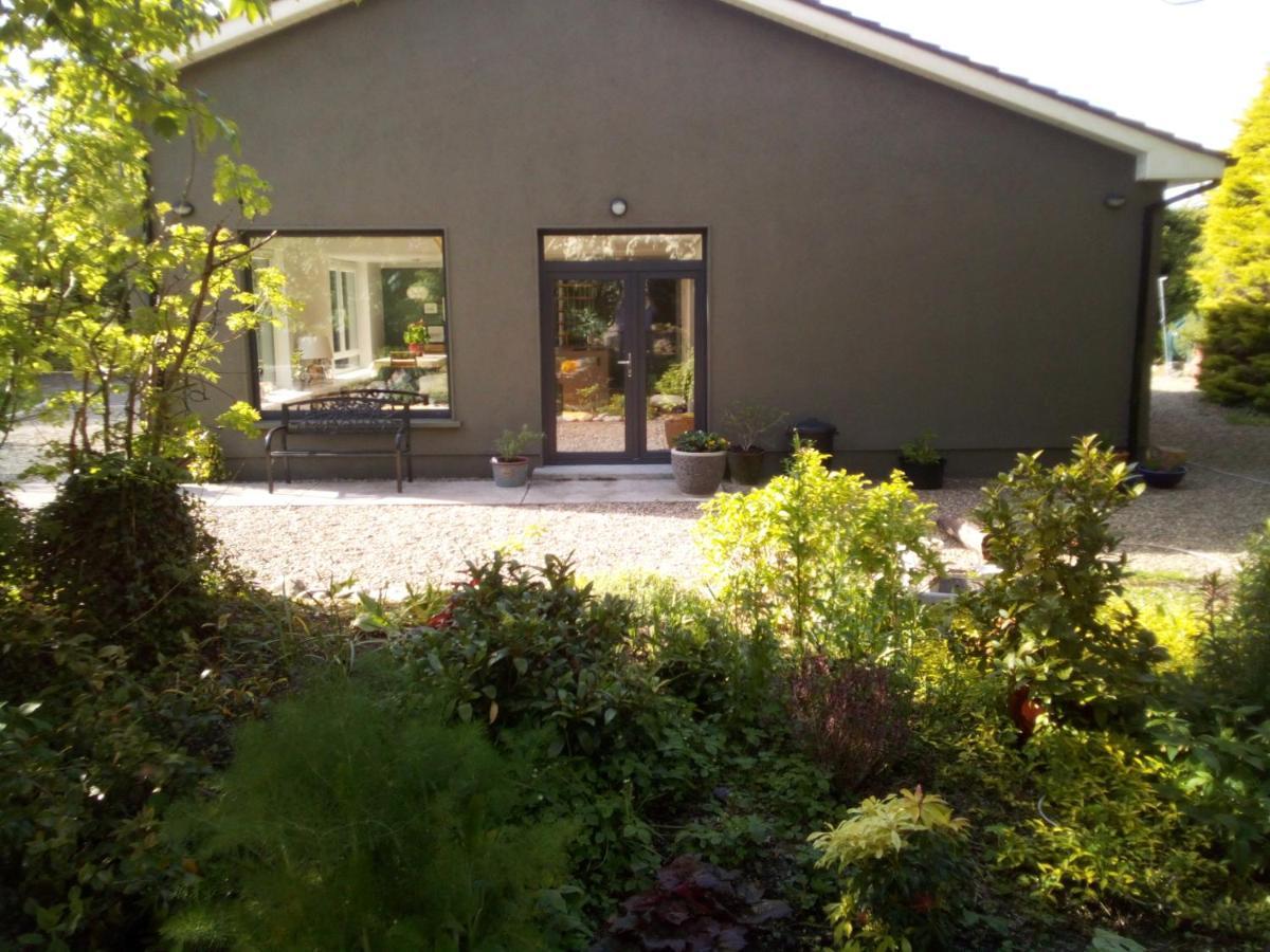 Spacious Contemporary Chalet Type Apartment. Galway Buitenkant foto