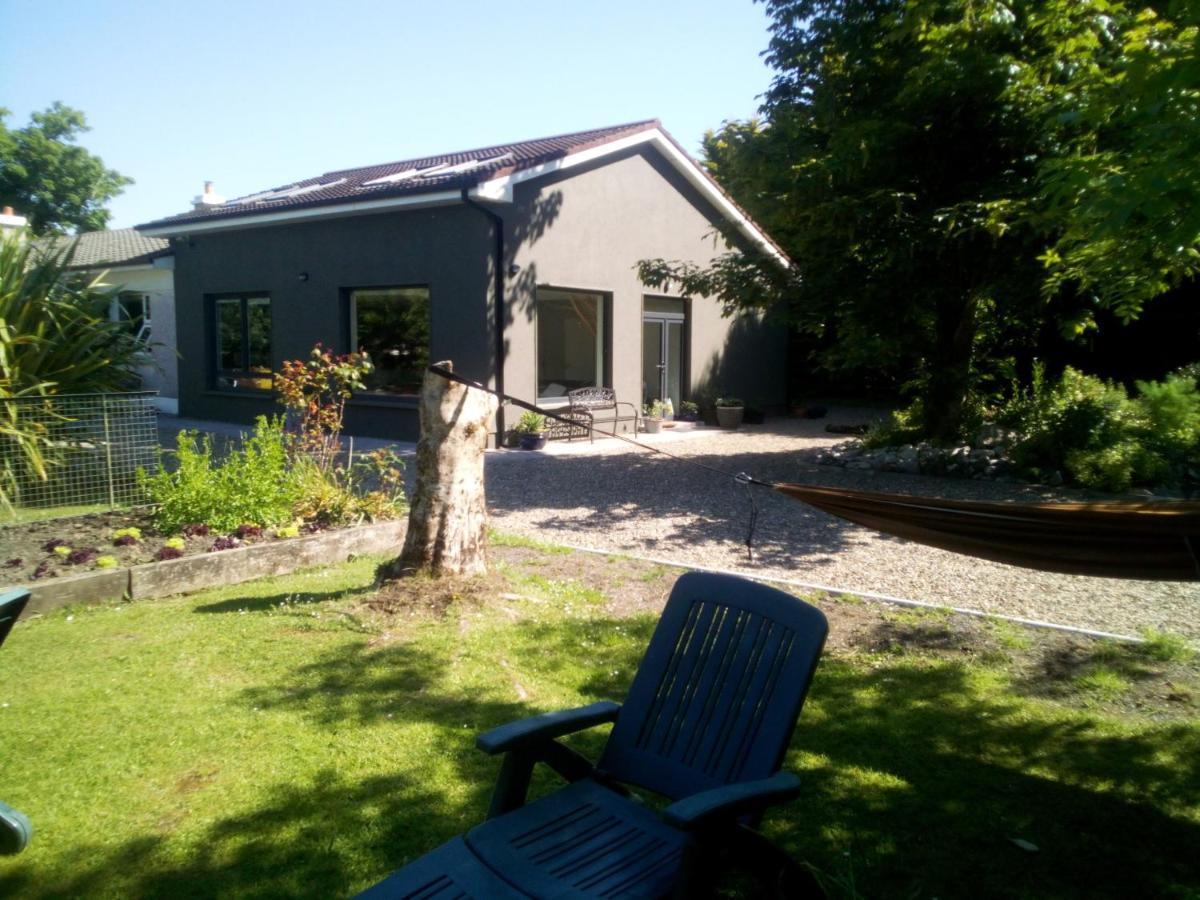 Spacious Contemporary Chalet Type Apartment. Galway Buitenkant foto