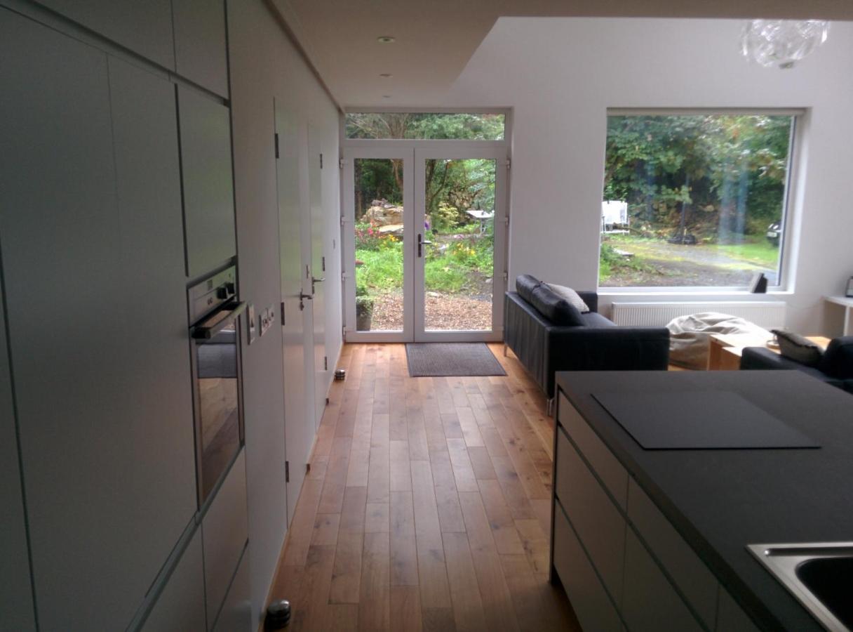 Spacious Contemporary Chalet Type Apartment. Galway Buitenkant foto