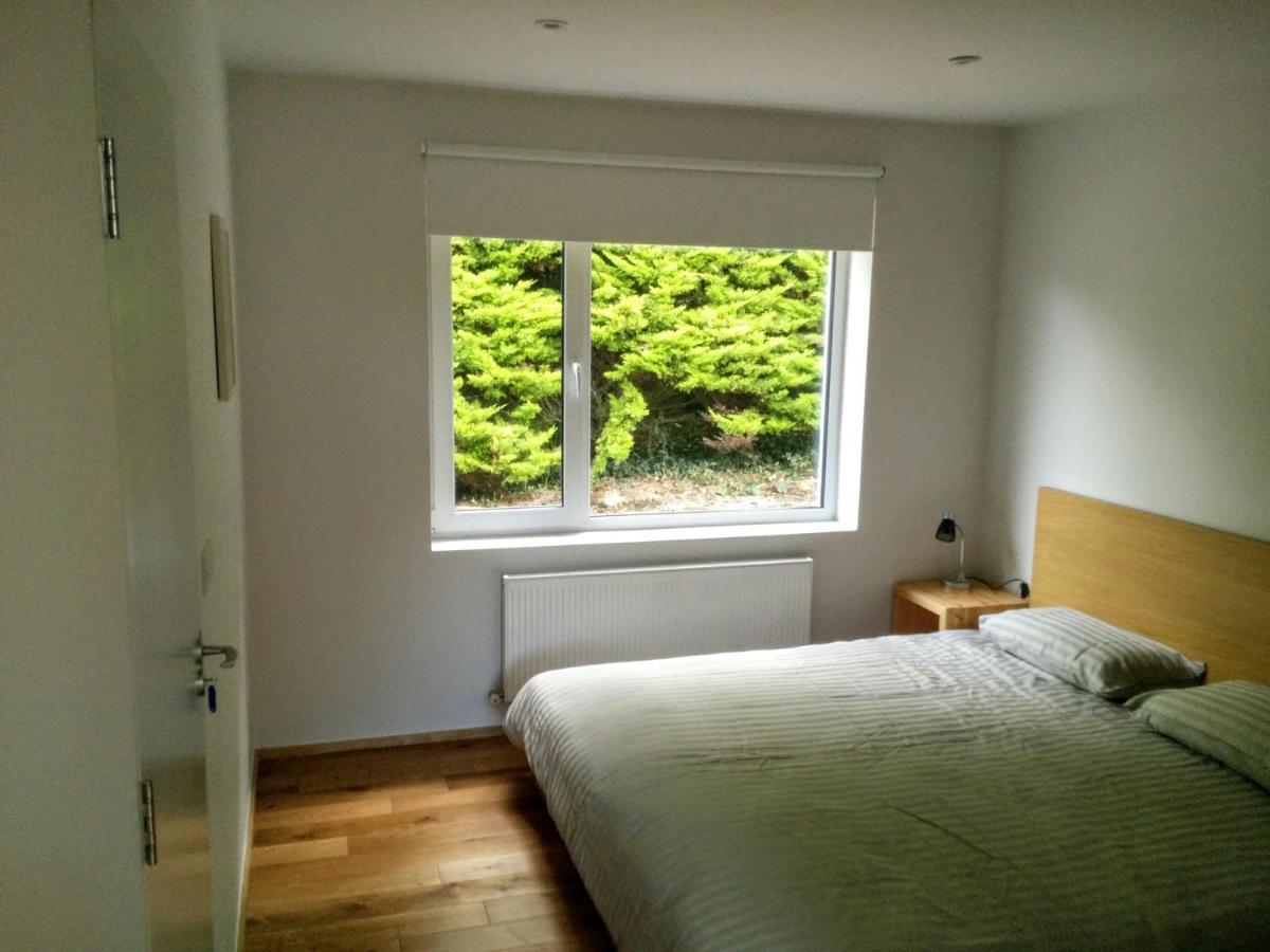 Spacious Contemporary Chalet Type Apartment. Galway Buitenkant foto