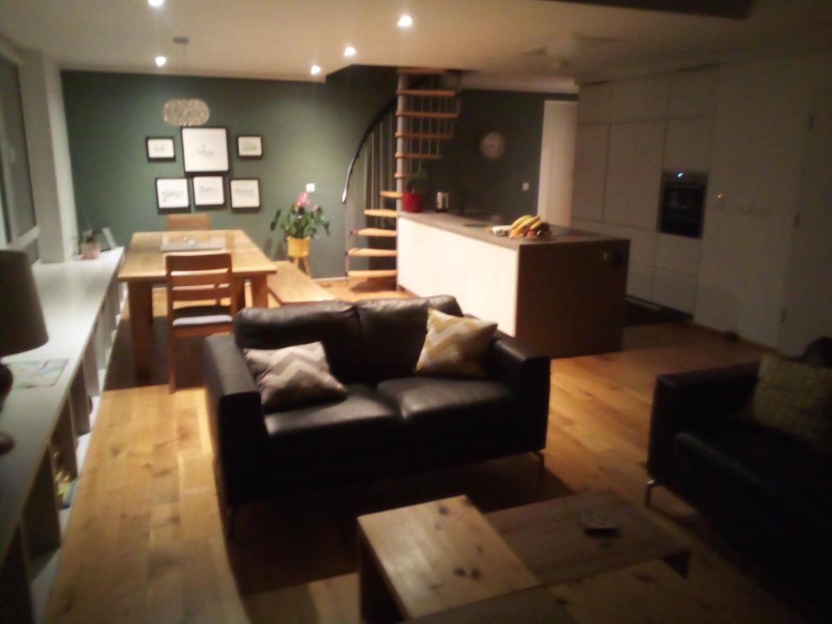 Spacious Contemporary Chalet Type Apartment. Galway Buitenkant foto