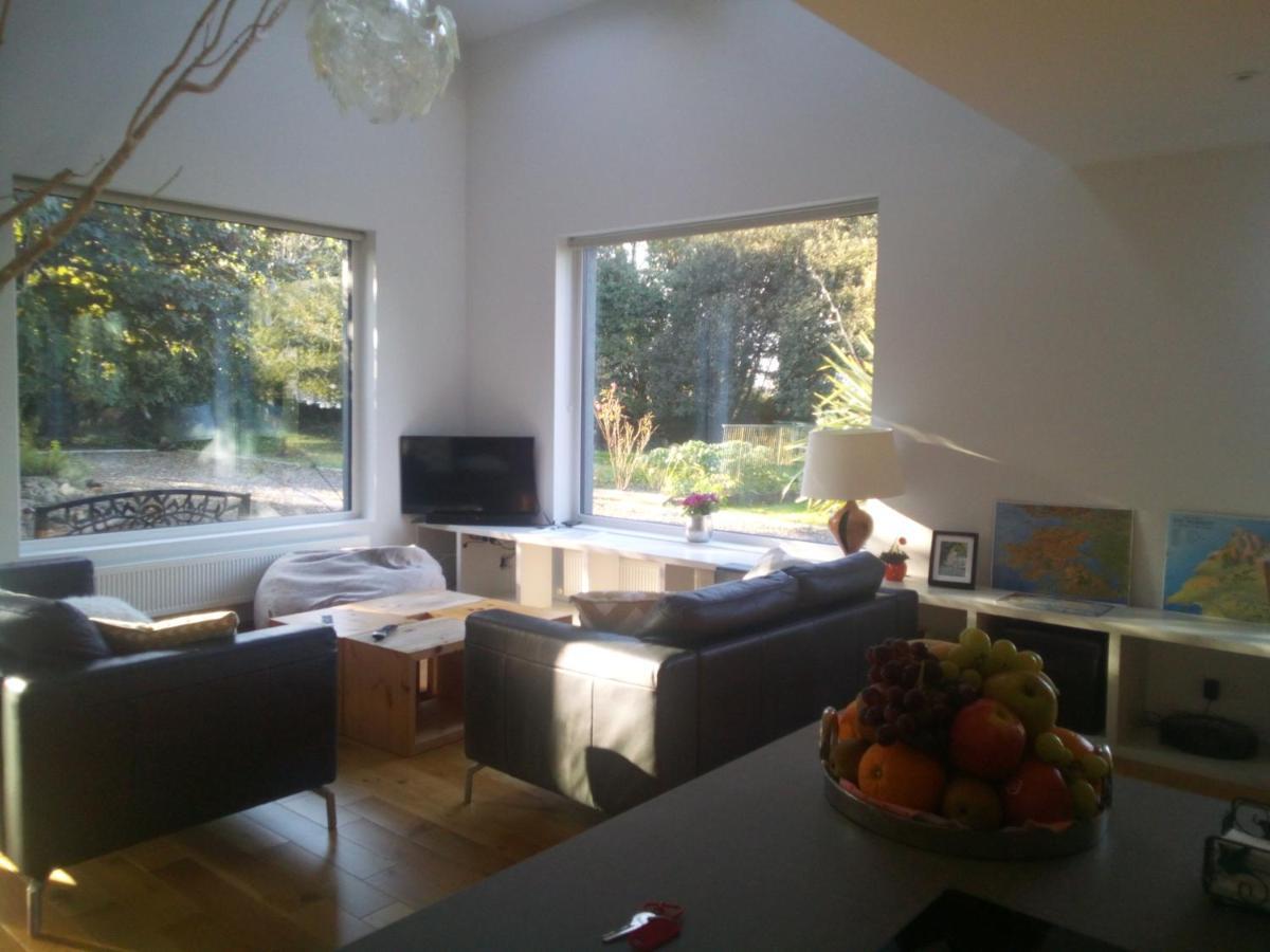 Spacious Contemporary Chalet Type Apartment. Galway Buitenkant foto